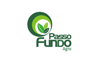 Passo-Fundo